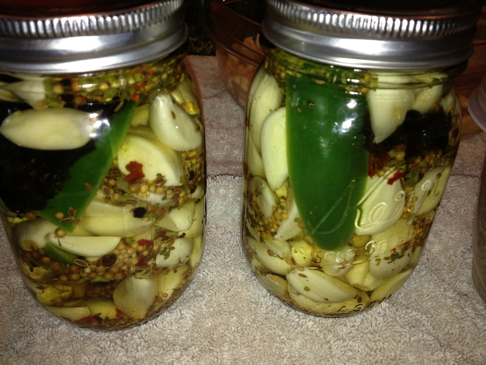 My Mama Always Said.... Spicy Pickled Green Beans A Canning Tutorial without a Pressure Cooker!