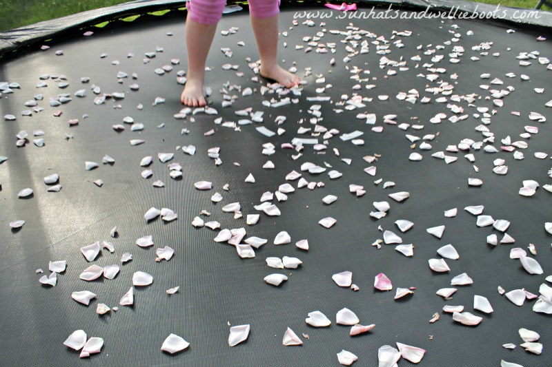 sun-hats-wellie-boots-how-to-make-rose-petals-dance-outdoor