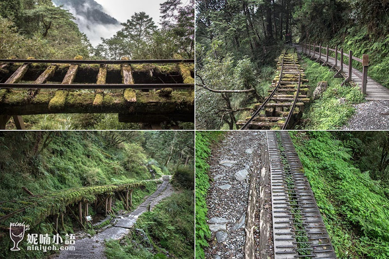 【宜蘭大同】太平山見晴懷古步道。世界級景點在台灣