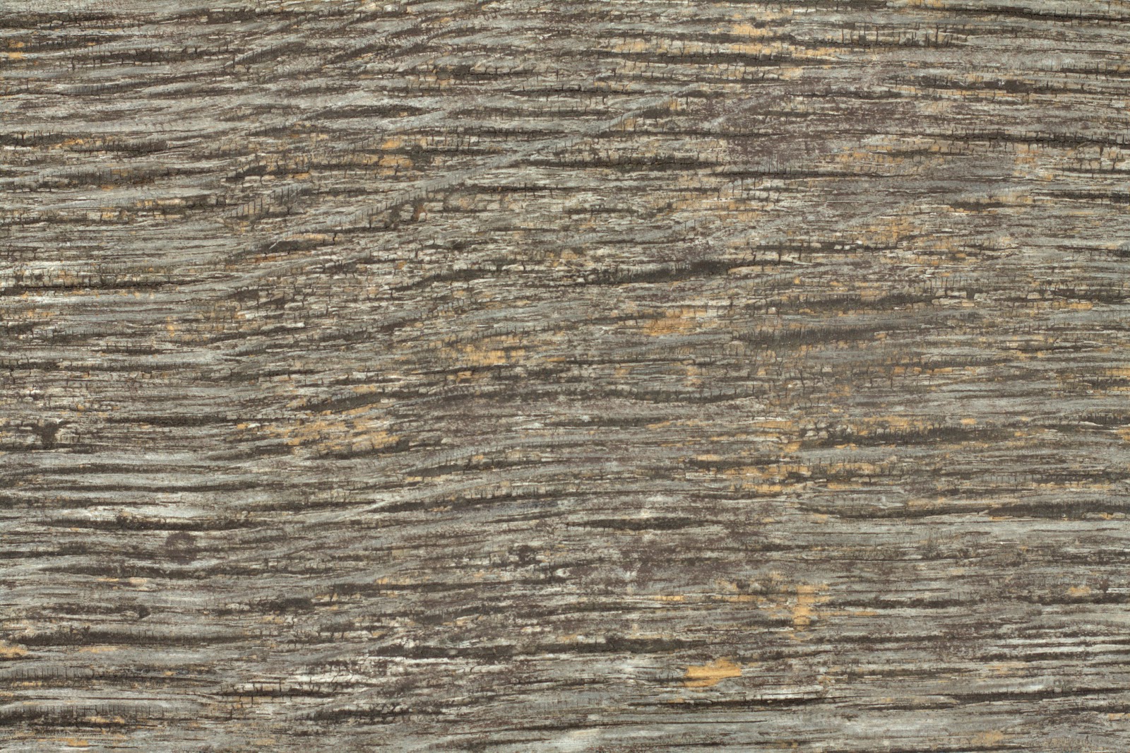 Wood dry cracked bench plank tree bark texture ver 10