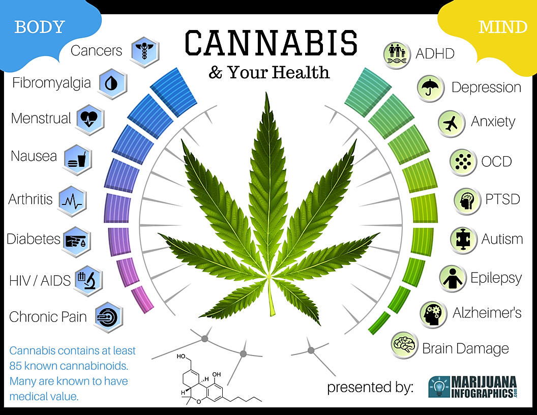 Pemanfaatan Ganja Medis MY JOURNEY