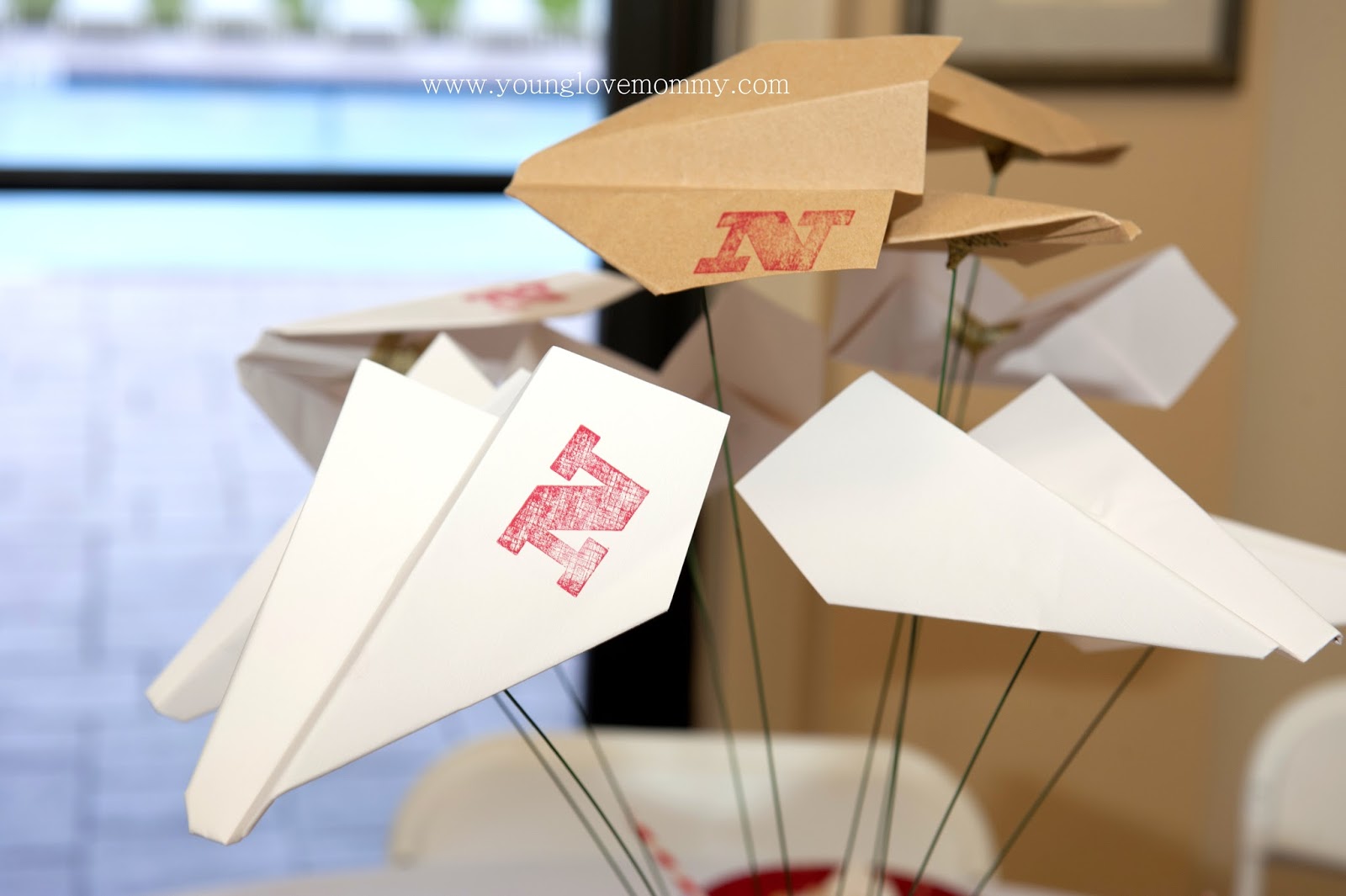 Vintage Airplane Party first birthday, vintage airplane birthday party