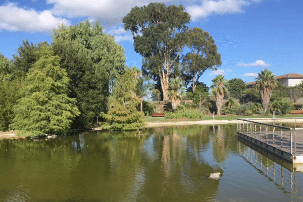 jardin botanico barakaldo barakaldo digital denuncia vecinal pesca captura de jardin botanico barakaldo barakaldo digital denuncia vecinal pesca captura de
