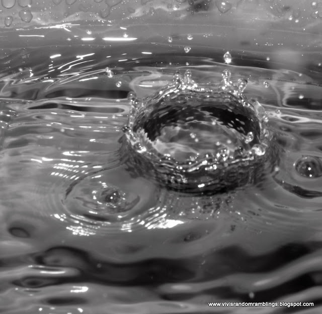 black and white photo of a water droplet, bridge camera used: Panasonic Lumix FZ35