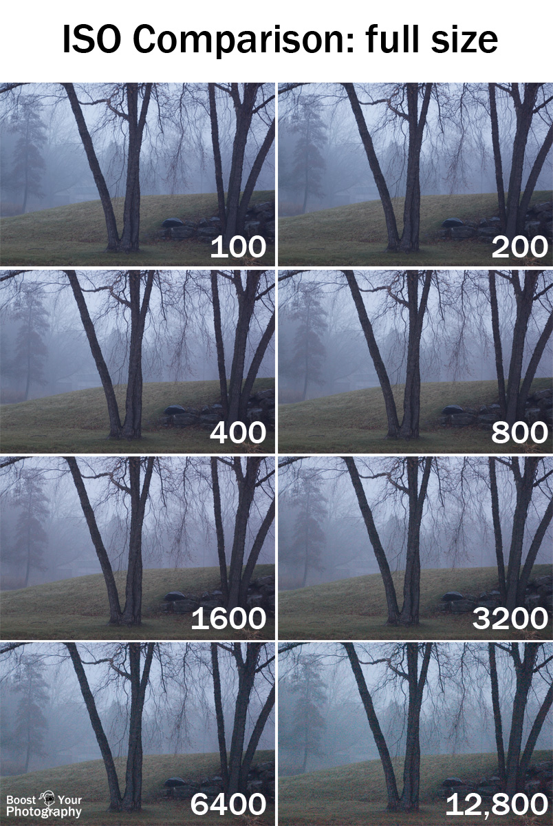 ISO Comparison at Full Size | Boost Your Photography