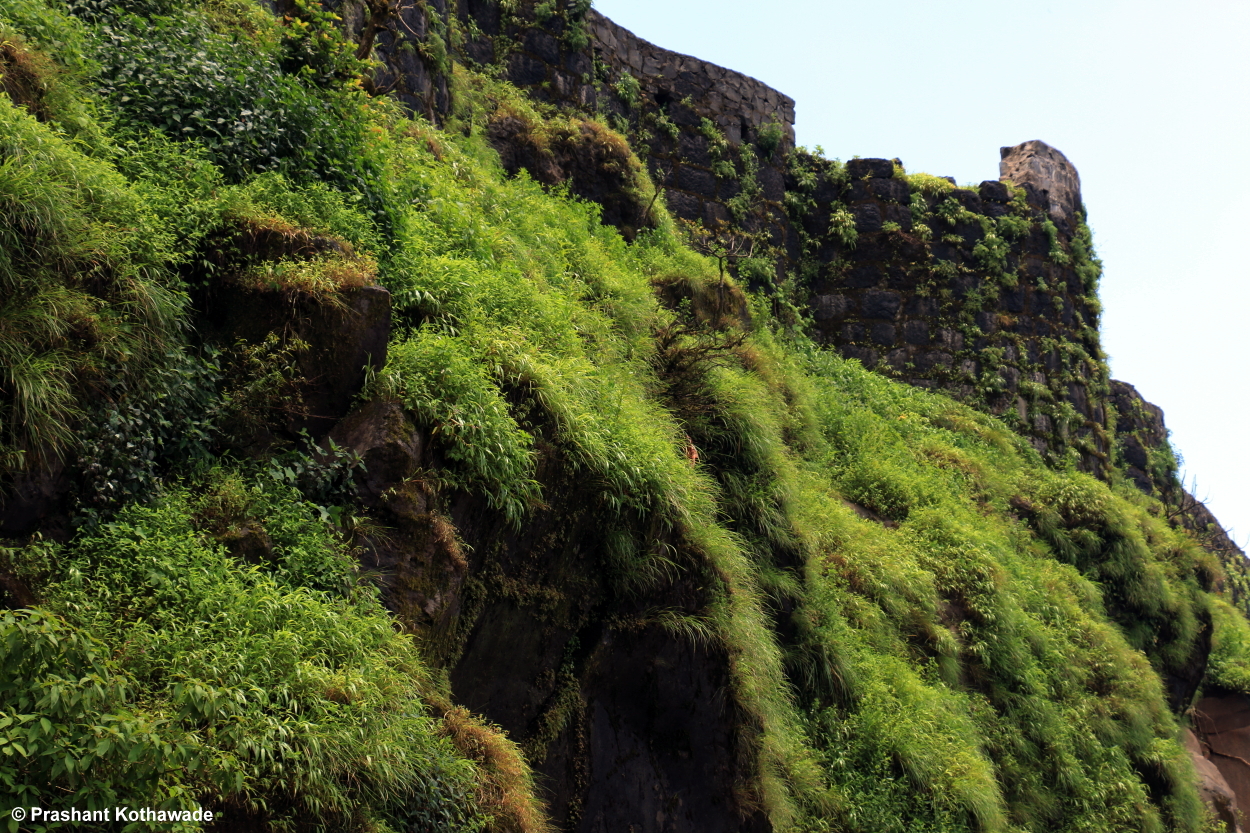 Prashant Kothawade's blogs: Vadgaon-Kudpan-Pratapgad -- The Sublime ...