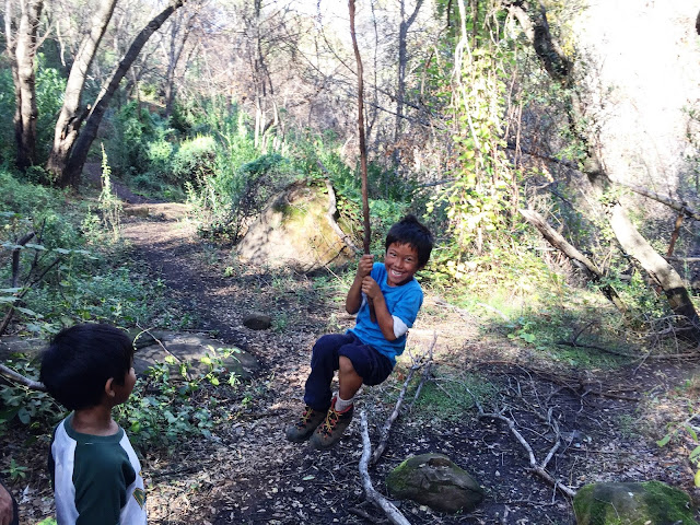 Homestead trail hanging branch