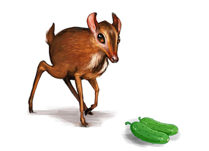 story telling the mouse deer and farmer