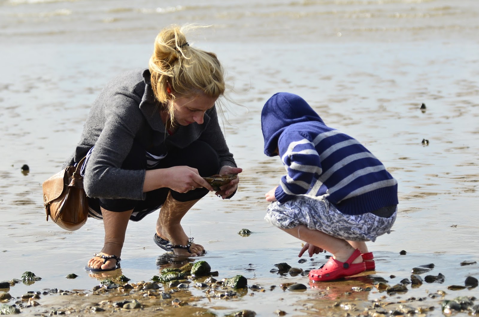 Norfolk Wildlife Trust Rock pooling magic