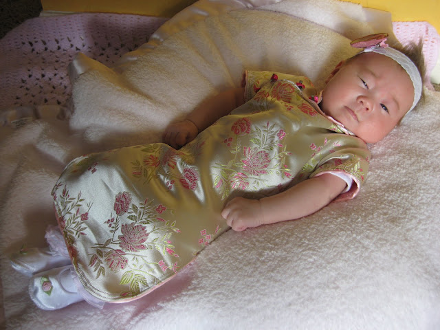 Picture of Image result for would really WikiLeaks love brave infant life expectancy not v