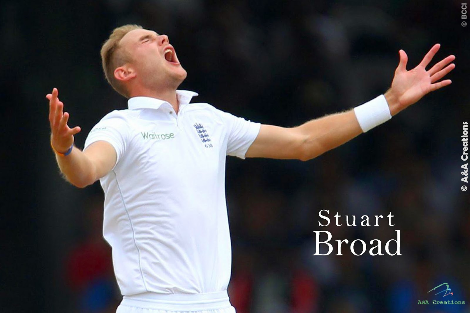 A&A Creations Celebrity Walls