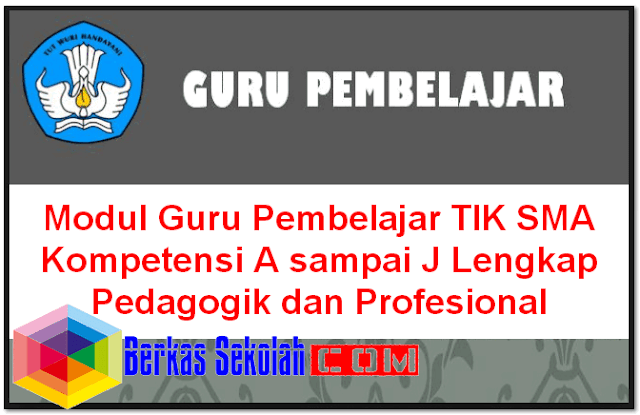 Modul Guru Pembelajar TIK SMA Kompetensi A sampai J Lengkap Pedagogik dan Profesional Modul Guru Pembelajar TIK SMA Kompetensi A sampai J Lengkap Pedagogik dan Profesional