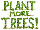 PLANT MORE TREES