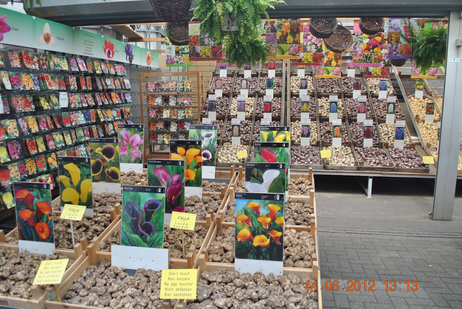 De peste tot si de nicaieri Piata de flori, Amsterdam