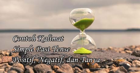 Contoh kalimat present perfect tense positif negatif, dan tanya