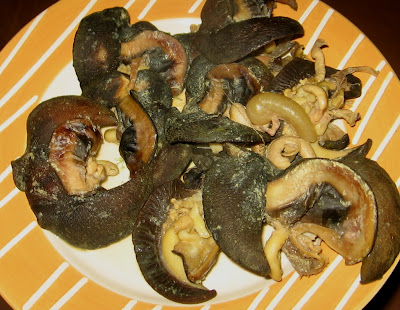 [Image: snails,spring+rolls,+food+makeover+005.JPG]
