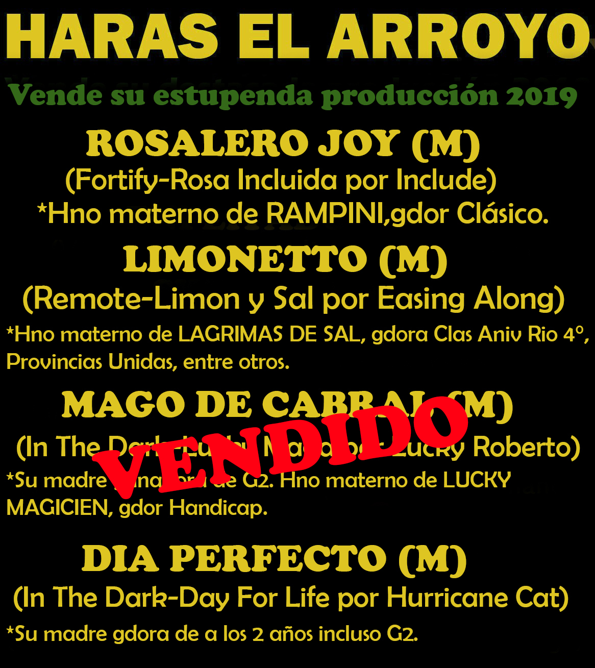 HS EL ARROYO - PROD 1 ED