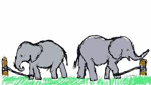 The elephant and the rope - A Short Elephant Story For Kids