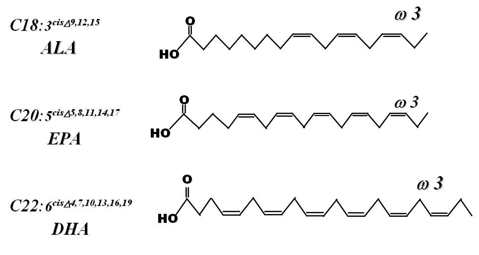 PQQ, PEA, OEA, αGPC, red yeast rice, High purity Antarctic Krill Oil