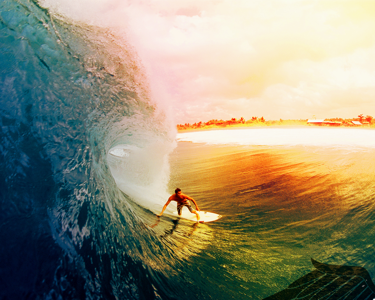 14 Cool Surfing Wallpapers | Surf Pictures and Videos