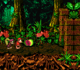 donkey_kong_country_lost_levels_snesforever_0028.png