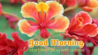 good morning good morning