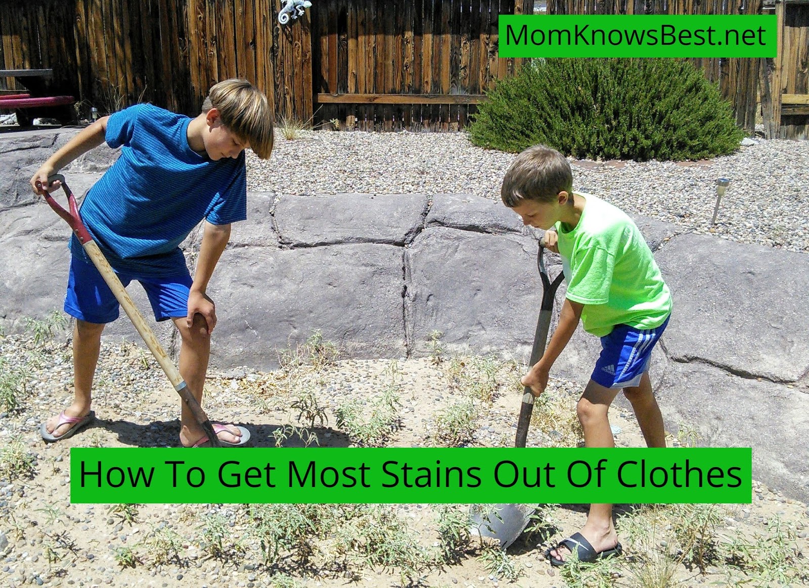 Disclaimer This is a Sponsored post written by me on behalf of Biz