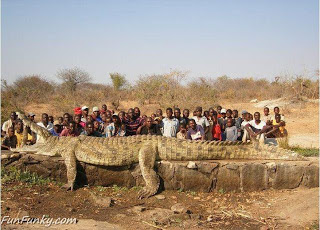Crocodilo Enorme