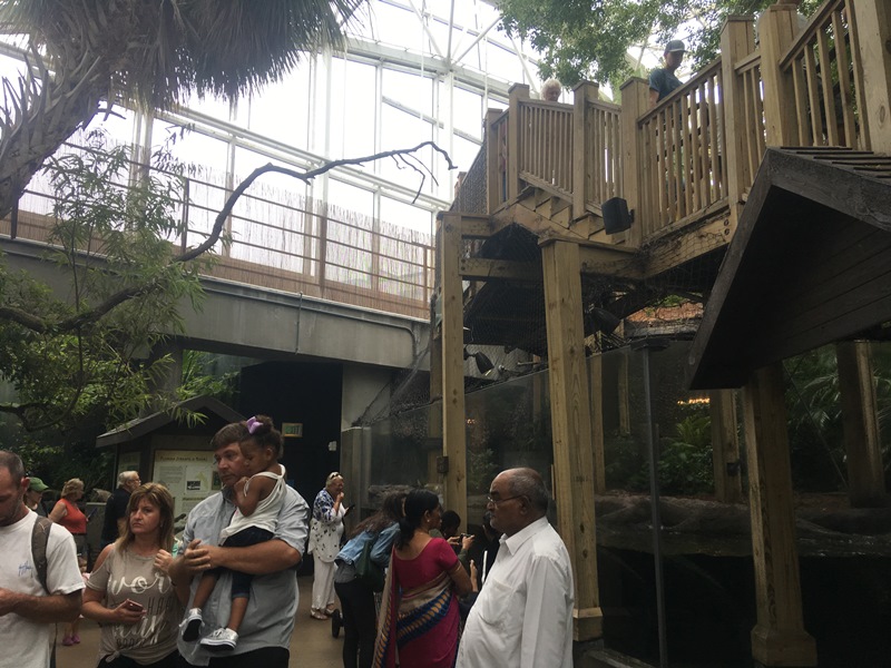 The Zoo Review Zoo Review Florida Aquarium