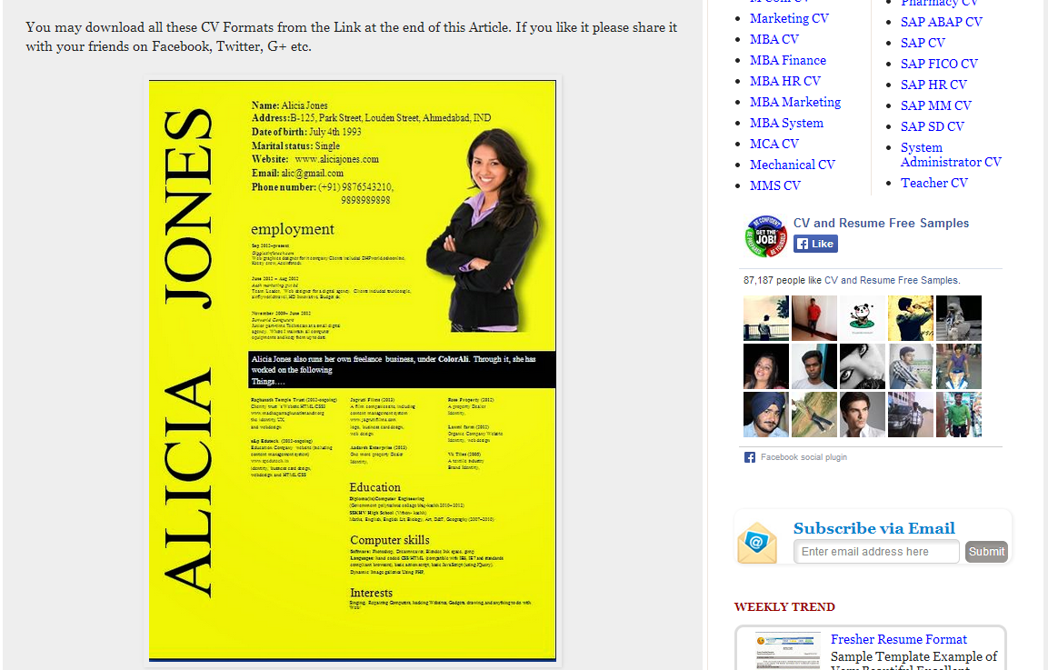 Blogger Resume Template