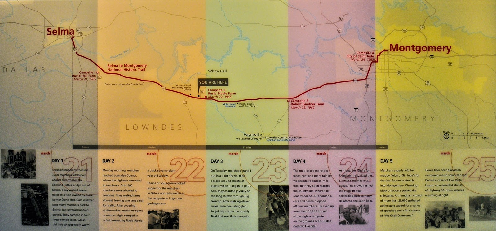 BLACK HISTORY MONTH 2015 THE LONG WALK TO VOTE MARCHING FROM SELMA TO