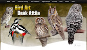 BIRD ART -DEAK ATTILA