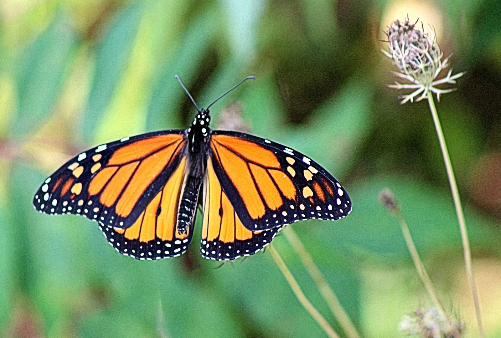 See the source image