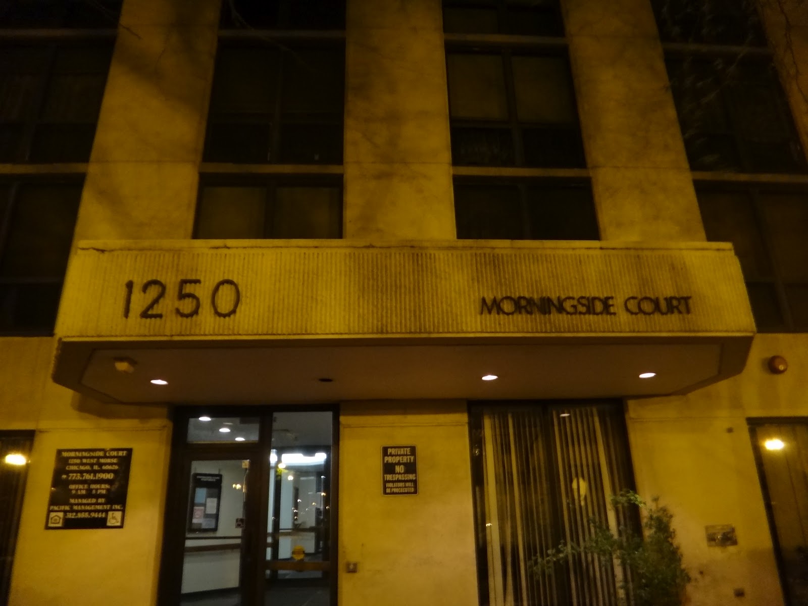 Rogers Park in 1,000 words Midnight Along Morse Avenue Rogers Park