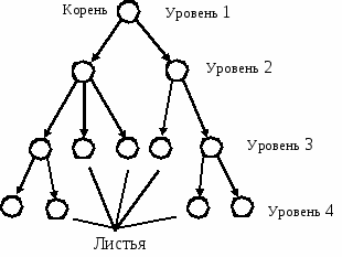 Корневой уровень. Информатика вершины уровня. Атрибуты вершины дерева в программировании. Дерево с тремя вершинами Информатика. Корнем данного графа является иерархической системы.