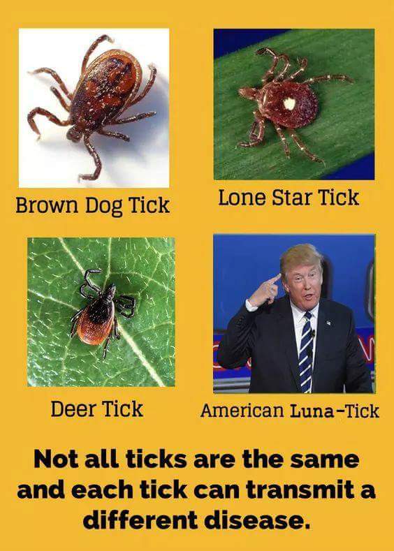 3: The Dale Earnhardt Story TV Movie 2004 - IMDb