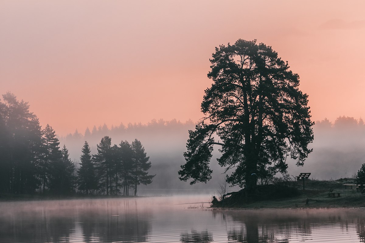 Фотограф Татьяна Афиногенова