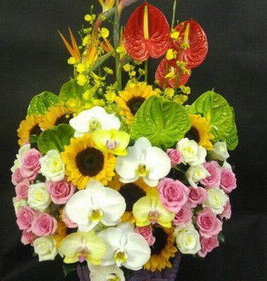 cho hoa sinh nhat cho nam