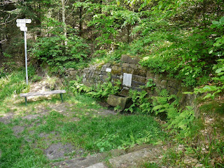 Hildebrand-Brunnen 400m Fußweg unterhalb des Gipfels des Mahlbergs