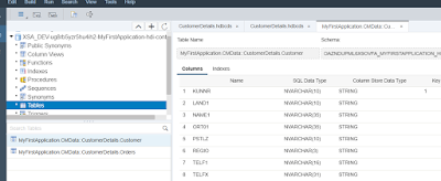 SAP HANA, HANA XSA, SAP HANA EXPRESS