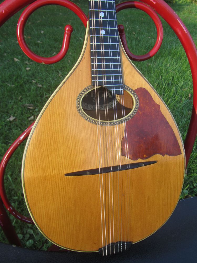 c.1919 Vega Flatback Mandolin