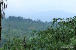 curug cadas ngampar bogor
