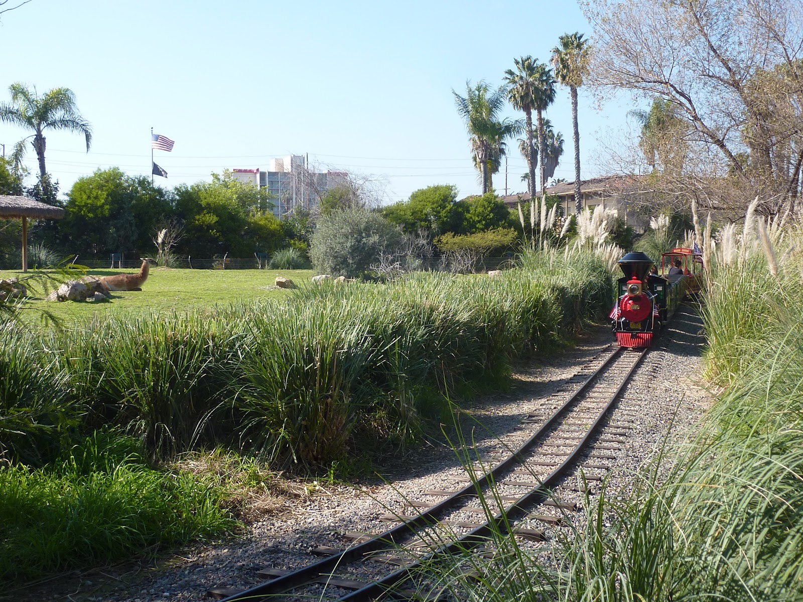 Vacation Unlimited Travel Journal An Afternoon at the Santa Ana Zoo