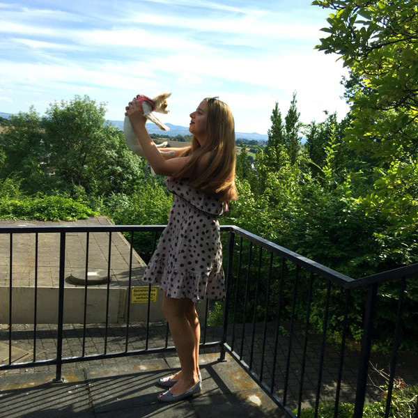 Wibutler Als Mogliche Schnittstelle Zu Viessmann Smart Climate