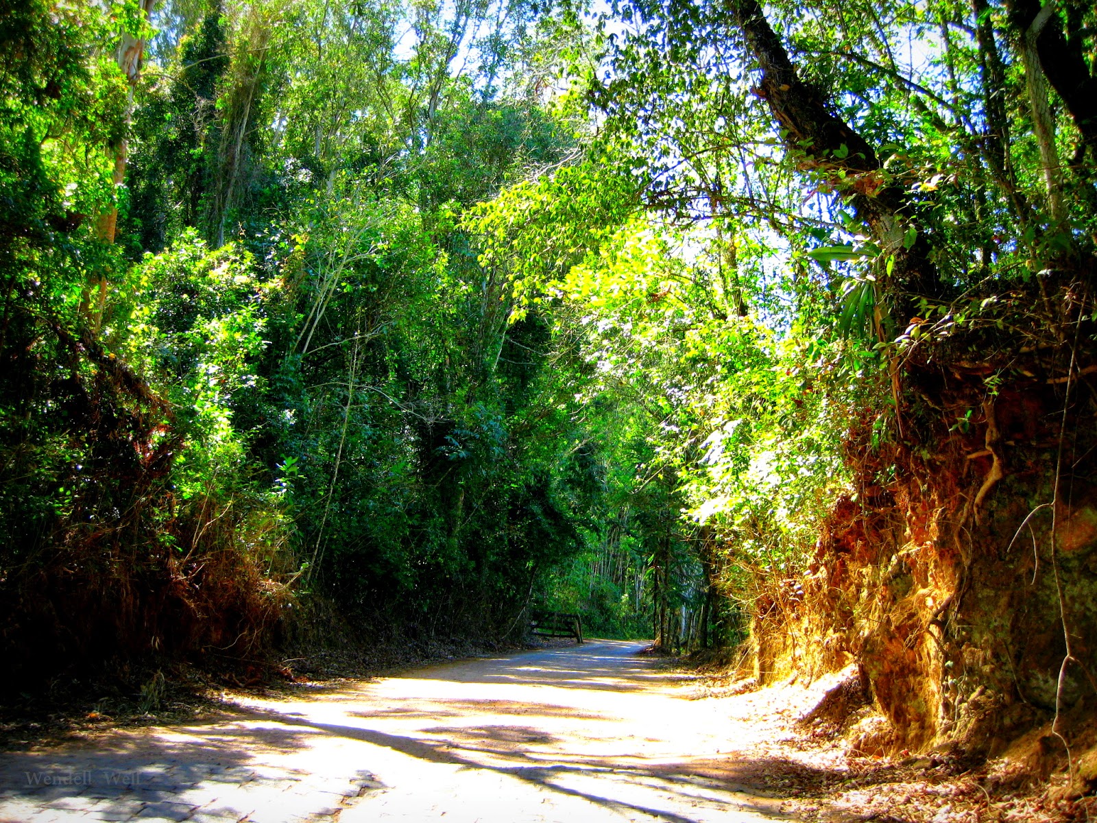 minas gerais