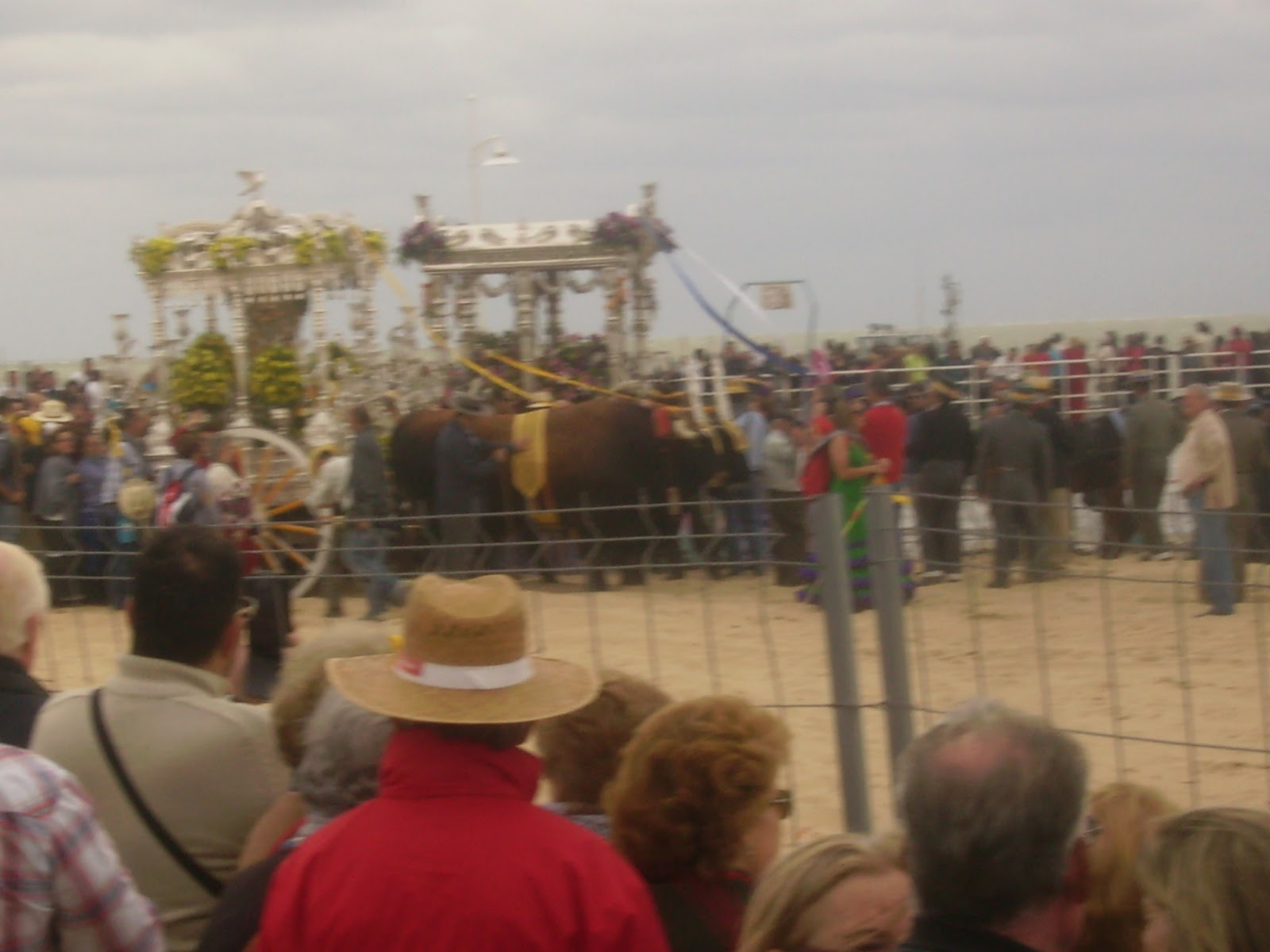 El Defensor de los animales NÚMERUS CLAUSUS PARA LA ROMERÍA DEL ROCÍO.