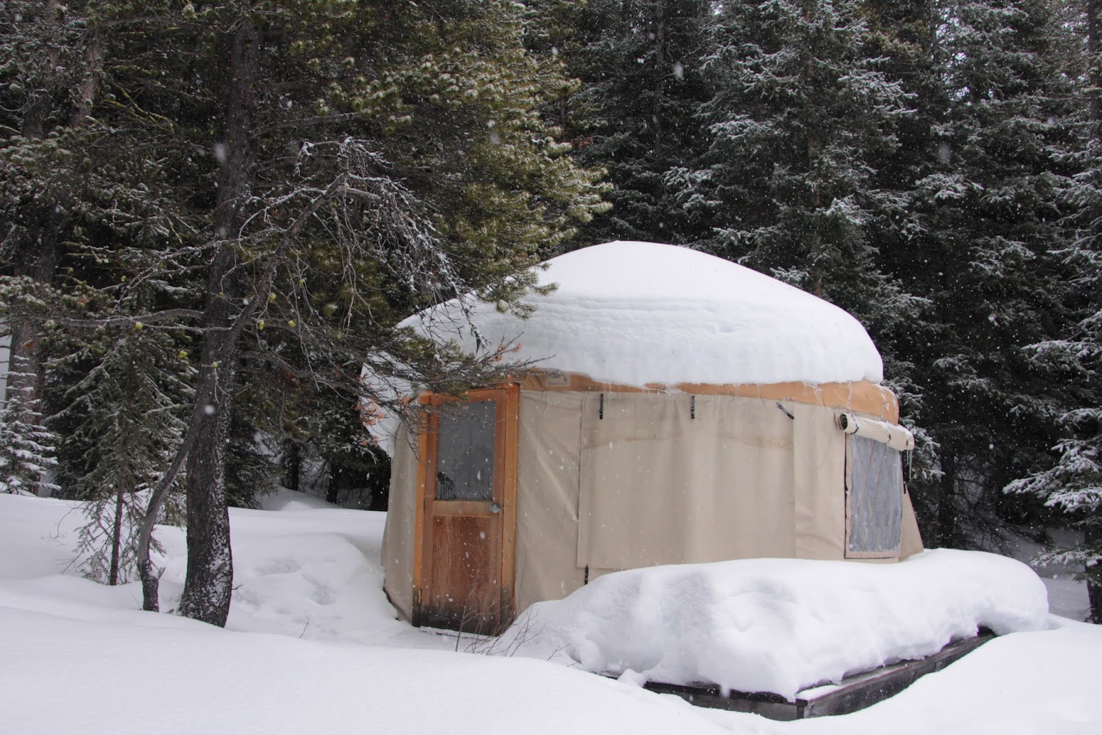 Family Adventures in the Canadian Rockies YurtCamping in Kananaskis