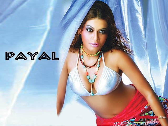 actress payal rohatgi navel show photos