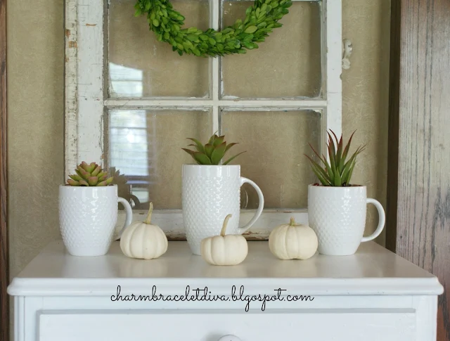 Succulent Display Coffee Mugs Teacups