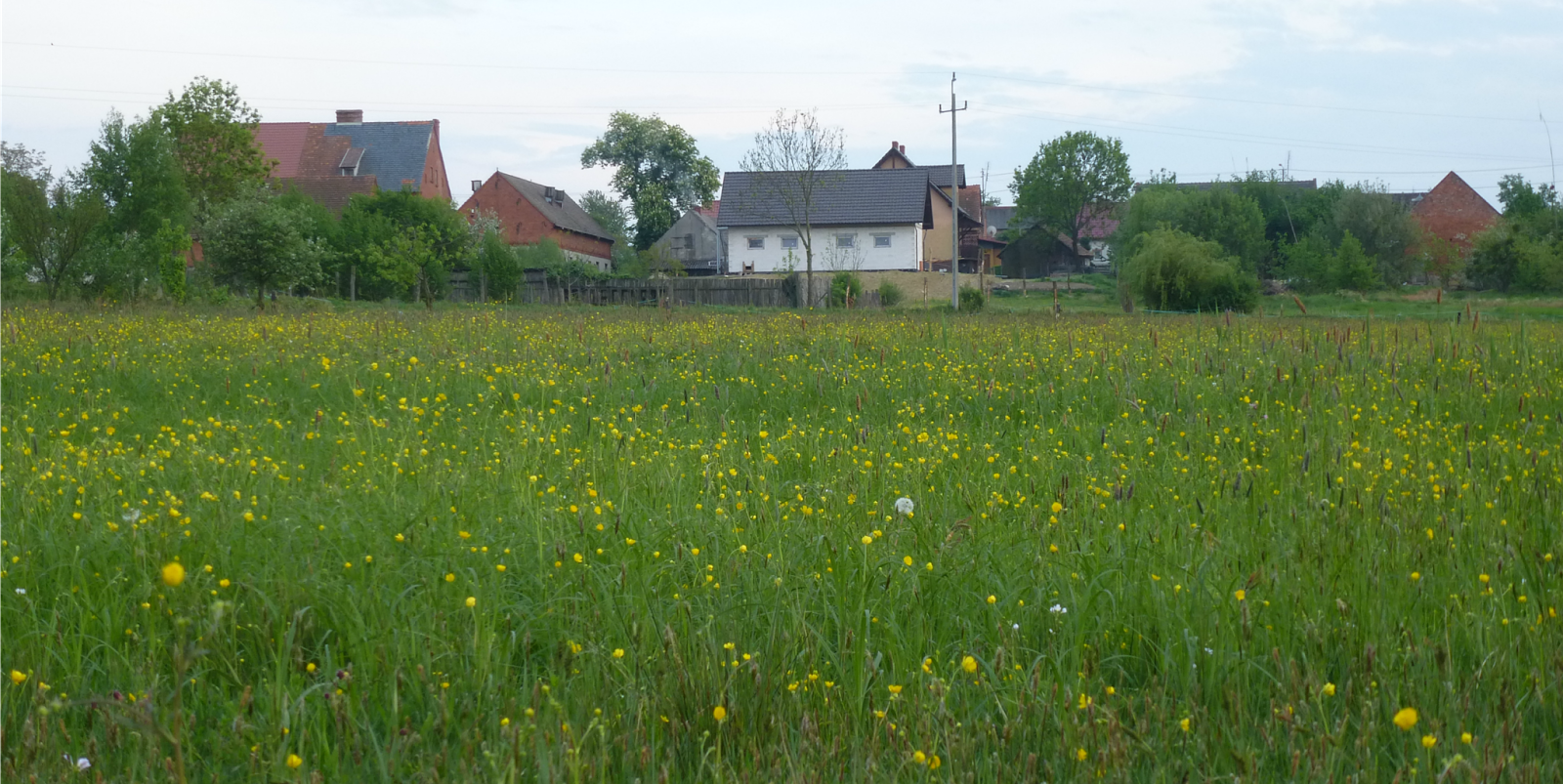 druga strona ogrodu a ty, o czym marzysz?